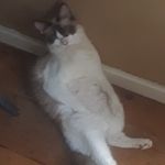 Wendy Ahearn - @legz358 - Instagram