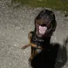Wendy aleman - @wendy.aleman77 - TikTok