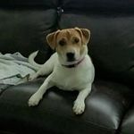 Wendy Huffman Angelo - @warider65 - Instagram