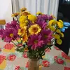 wendyapplegate212 - @wendyapplegate212 - TikTok