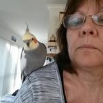 Wendy Appleton - @appleton.family - Instagram