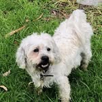 Wendy Appleton - @wendywilks1 - Instagram