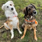 Wendy Atchison - @atchisonwendy - Instagram