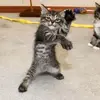 vhuelihqrt6 - @wendyayersqxdsrznh - TikTok