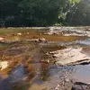Wendy Ayers - @wendy.ayers - TikTok