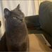 Wendy Bahena - Facebook