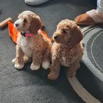 Wendy Baird - @wendy.bairdwashammond - Instagram