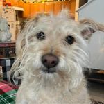 Wendy Baird Packard - @wendy.packard - Instagram