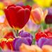 Wendy Bateman - Facebook