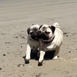 Wendy Batten - @wendy.batten.980 - Instagram