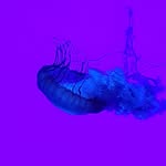 Wendy Beasley - @_jellyman_ - Instagram