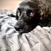 Wendy Barnbrook - Facebook