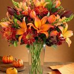 Wendy Benner Schueman - @lovinlilacs - Instagram
