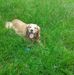 Wendy Bertram - Facebook