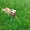 Wendy Bertram - @wendy.bertram2 - TikTok