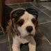 Wenda Billman - Facebook