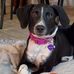 Wendy Binder - Facebook
