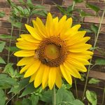 Wendy Binder Havlock - @wendyhavlock - Instagram