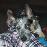 Wendy Bitner - @x_soul_of_darkness_x - Instagram