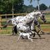 Wendy Blacksmith - Facebook