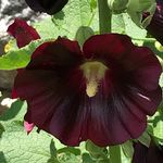 Wendy Blakeman - @blakeman_wendy - Instagram
