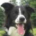 Wendy Blakeman - Facebook