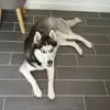 Wendy Blot - @wendy.blot - TikTok