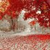 Wendy Blumenthal White - Facebook