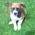 Wendy Boardman - @boardmanwendy - Instagram