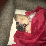 Wendy Boatwright - @wlavonneb - Instagram
