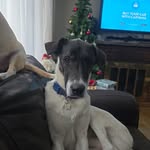 Wendy Bock - @wendal9995 - Instagram