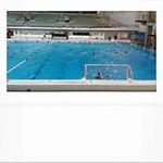 Wendy Bock - @wpbock - Instagram