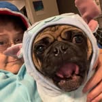 Wendy Boden - @wendy.boden - Instagram