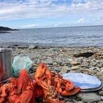 Wendy Boland - @boland.wendy - Instagram