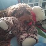 Wendy Boland - @wendyboland - Instagram