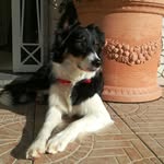 Wendy - @__wendyborder__ - Instagram