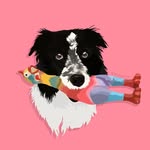 Wendy 🐾 - @wendy_theborder - Instagram