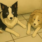 Wendy e Bella - @wendyebella_bordercollie - Instagram