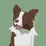 Wendy🐶 - @wendy_border_ - Instagram