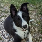 WENDY - @wendy_bordertale - Instagram