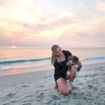 Wendy's Bordercollie's home - @wendysbordercolliepuppy9 - Instagram