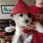 Wendy Born - @wendy.born.758 - Instagram