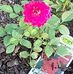Wendy Barner - Facebook