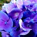 Wanda Boryczka - Facebook