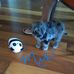 Wendy Starling Borowski - Facebook