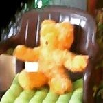 Wendy boston - @boston.teddybeer - Instagram