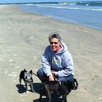 Wendy Johnson - @wendy_boston_terriers - Instagram