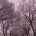 Wendy Bourassa - Facebook