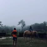 Wendell Bowen🤠 - @wendy_bow22 - Instagram