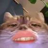 Wendy.bow - @wendy.bow - TikTok